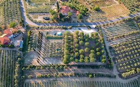 Agricamping Poggio Ai Pini Wine Camping